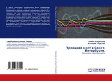 Portada del libro de Троицкий мост в Санкт-Петербурге.