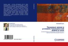 Bookcover of Трудовые армии в условиях Гражданской войны и нэпа
