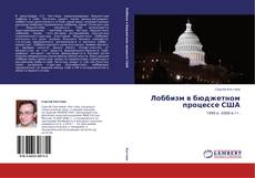 Bookcover of Лоббизм в бюджетном процессе США