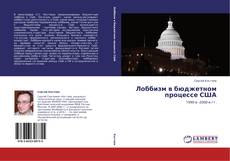 Portada del libro de Лоббизм в бюджетном процессе США