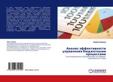 Capa do livro de Анализ эффективности управления бюджетными процессами 