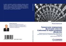 Capa do livro de Граничное поведение функций классов Соболева в нерегулярных областях 