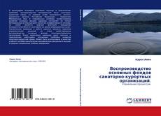 Обложка Воспроизводство основных фондов санаторно-курортных организаций.