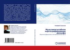 Bookcover of Мультимасштабное картографирование рельефа