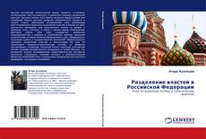 Bookcover of Разделение властей в Российской Федерации