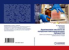 Capa do livro de Адипиновая кислота из капролактамсодержащих продуктов 