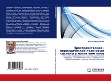 Copertina di Пространственно - периодические квантовые системы в магнитном поле