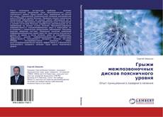 Bookcover of Грыжи межпозвоночных дисков поясничного уровня
