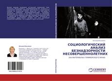 Capa do livro de СОЦИОЛОГИЧЕСКИЙ АНАЛИЗ БЕЗНАДЗОРНОСТИ НЕСОВЕРШЕННОЛЕТНИХ 