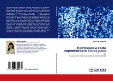 Протеиназы сома европейского Silurus glanis L. kitap kapağı