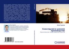 Capa do livro de Соэкструзия в шинном производстве 