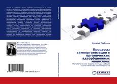 Buchcover von Процессы самоорганизации в органических адсорбционных монослоях