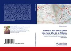 Capa do livro de Financial Risk and Capital Structure Choice in Nigeria 