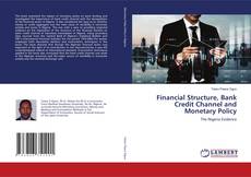 Copertina di Financial Structure, Bank Credit Channel and Monetary Policy