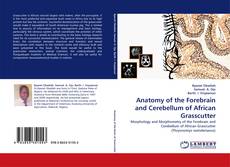 Capa do livro de Anatomy of the Forebrain and Cerebellum of African Grasscutter 