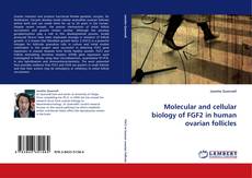 Buchcover von Molecular and cellular biology of FGF2 in human ovarian follicles
