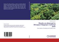 Buchcover von Shocks as observed in Shivapuri-Nagarjun national park