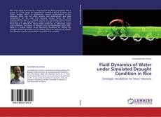 Bookcover of Fluid Dynamics of Water under Simulated Drought Condition in Rice