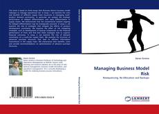 Capa do livro de Managing Business Model Risk 