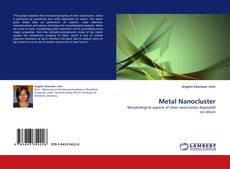 Metal Nanocluster kitap kapağı