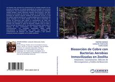 Buchcover von Biosorción de Cobre con Bacterias Aerobias Inmovilizadas en Zeolita