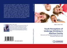 Youth Perceptions of Underage Drinking in Alachua County的封面
