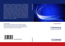 Bookcover of E-Marketing