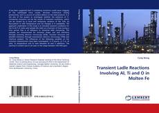 Buchcover von Transient Ladle Reactions Involving Al, Ti and O in Molten Fe