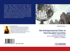 Capa do livro de The Entrepreneurial Cities in Post-Socialist Countries 