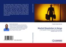 Capa do livro de Marital Dissolution in Kenya 