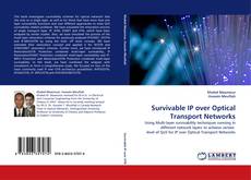 Bookcover of Survivable IP over Optical Transport Networks