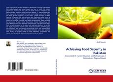 Achieving Food Security in Pakistan kitap kapağı