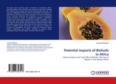 Capa do livro de Potential Impacts of Biofuels in Africa 