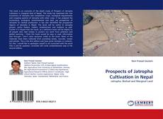 Capa do livro de Prospects of Jatropha Cultivation in Nepal 