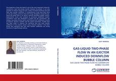 GAS-LIQUID TWO-PHASE FLOW IN AN EJECTOR INDUCED DOWNFLOW BUBBLE COLUMN kitap kapağı