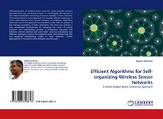 Copertina di Efficient Algorithms for Self-organizing Wireless Sensor Networks