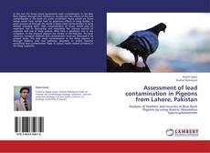 Assessment of lead contamination in Pigeons from Lahore, Pakistan kitap kapağı
