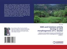Bookcover of SOD and Catalase activity during in vitro morphogenesis of C. bicolor