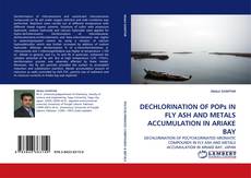 Portada del libro de DECHLORINATION OF POPs IN FLY ASH AND METALS ACCUMULATION IN ARIAKE BAY