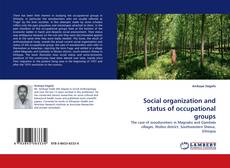 Capa do livro de Social organization and status of occupational groups 