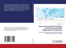 Bookcover of Financial Capital Paradigm and Income Poverty Reduction in Tanzania