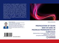 Capa do livro de PROPAGATION OF SEVEN NEW SH-SAWs IN PIEZOELECTROMAGNETICS OF CLASS 6mm 