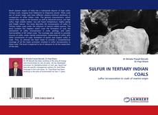 Buchcover von SULFUR IN TERTIARY INDIAN COALS