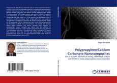 Bookcover of Polypropylene/Calcium Carbonate Nanocomposites
