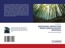 BIOETHANOL PRODUCTION FROM LIGNOCELLULOSIC MATERIALS kitap kapağı