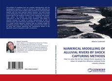 Portada del libro de NUMERICAL MODELLING OF ALLUVIAL RIVERS BY SHOCK CAPTURING METHODS