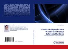 Capa do livro de Schema Changing in Data Warehouse Through Deferential Patterns 