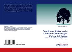 Transitional Justice and a Creation of Human Right Culture in Ethiopia kitap kapağı
