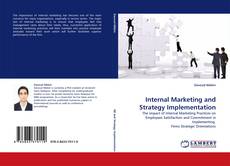 Capa do livro de Internal Marketing and Strategy Implementation 