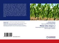 Maize (Zea mays L.) kitap kapağı